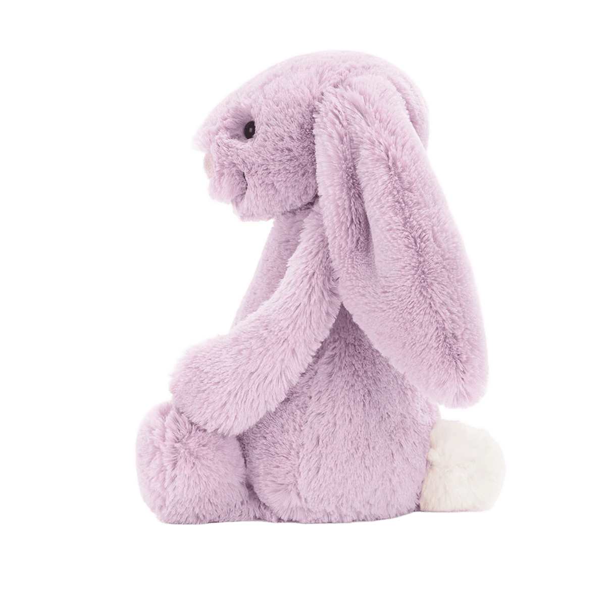 Bashful Lilac Bunny