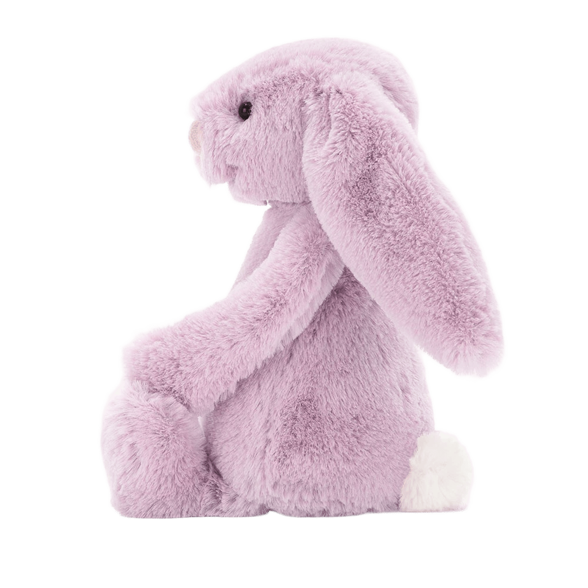 Bashful Lilac Bunny