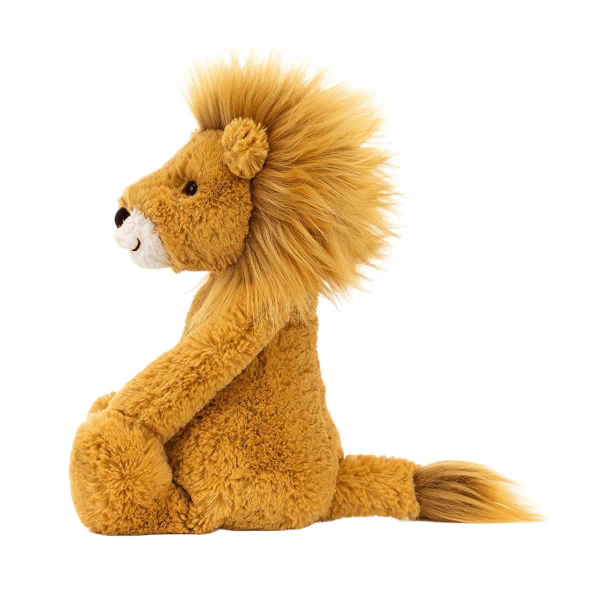 Bashful Lion