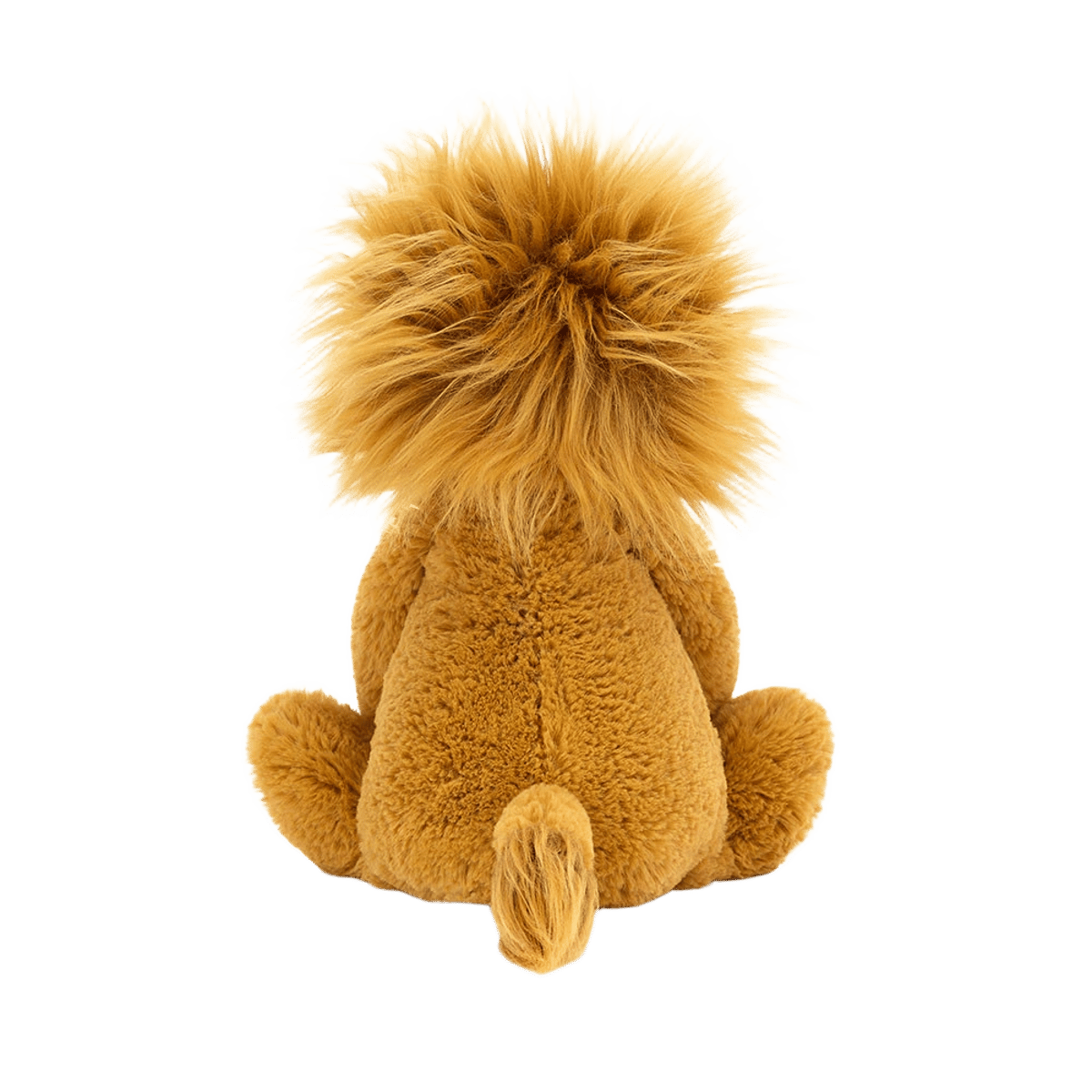 Bashful Lion