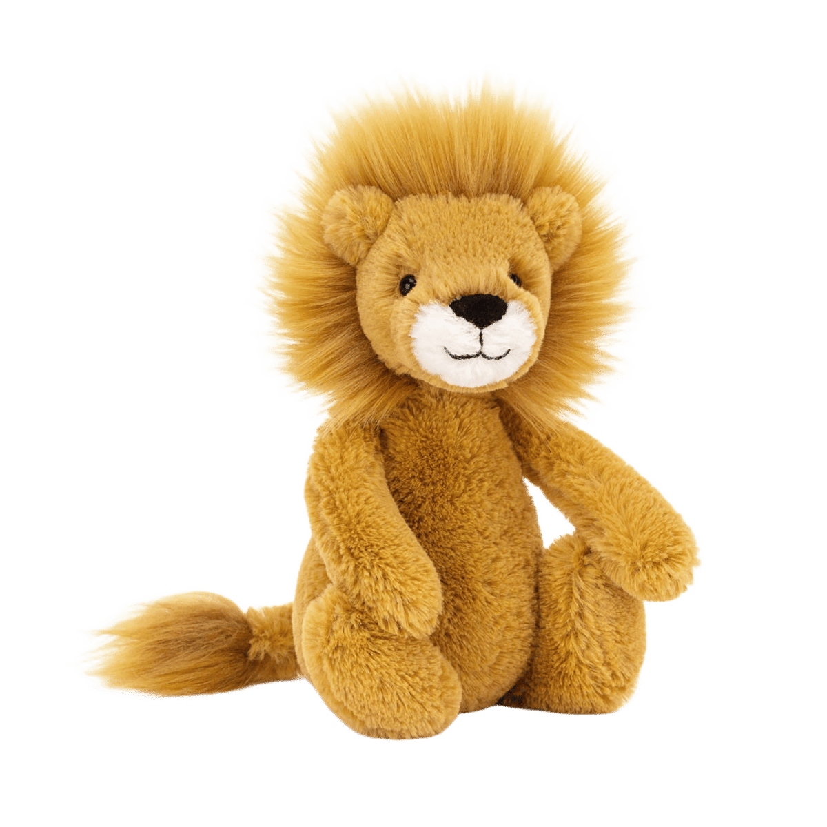 Bashful Lion