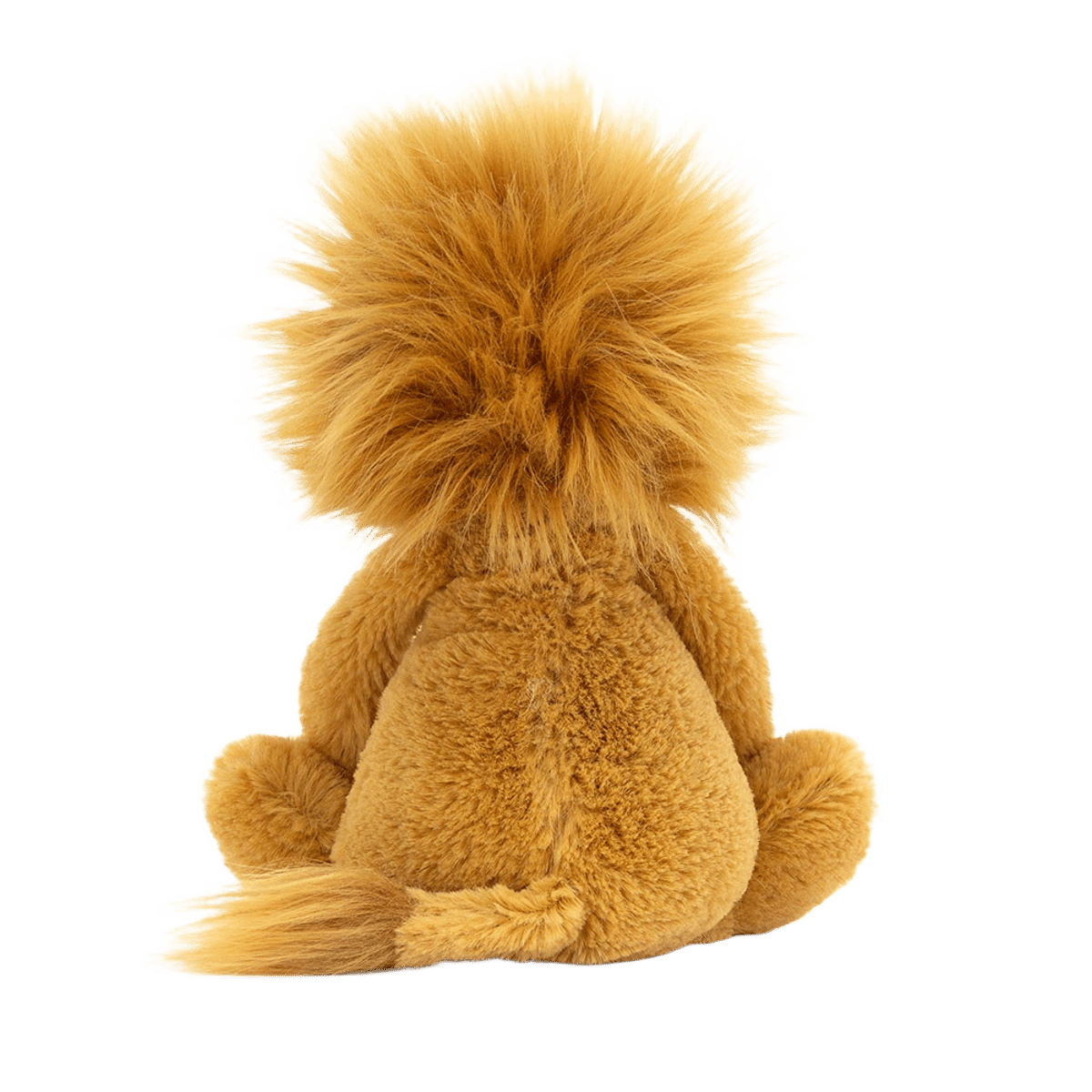 Bashful Lion
