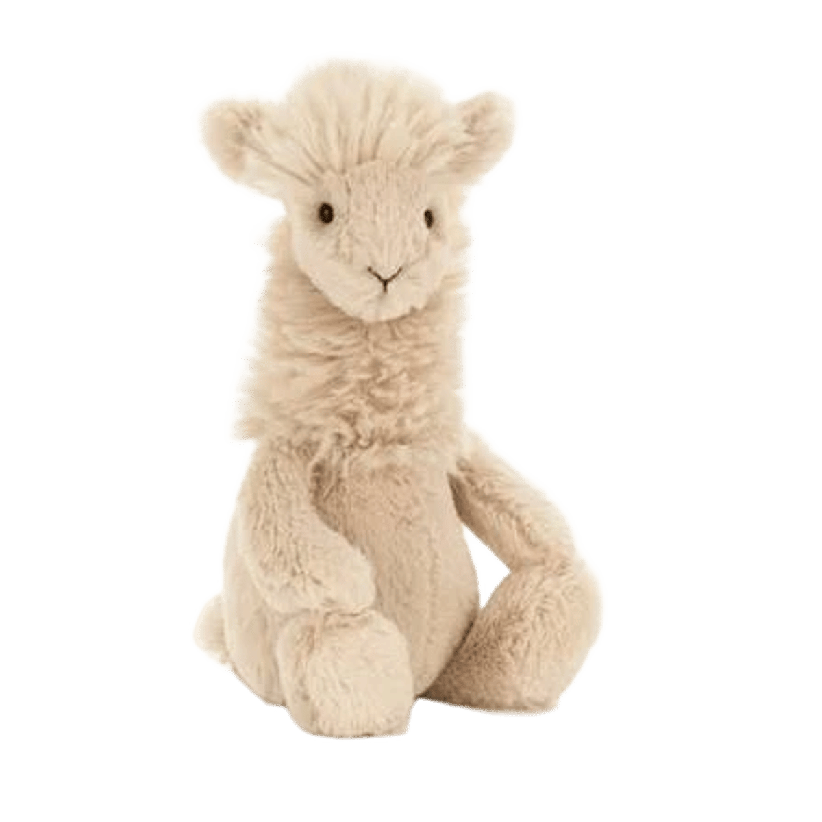 Bashful Llama