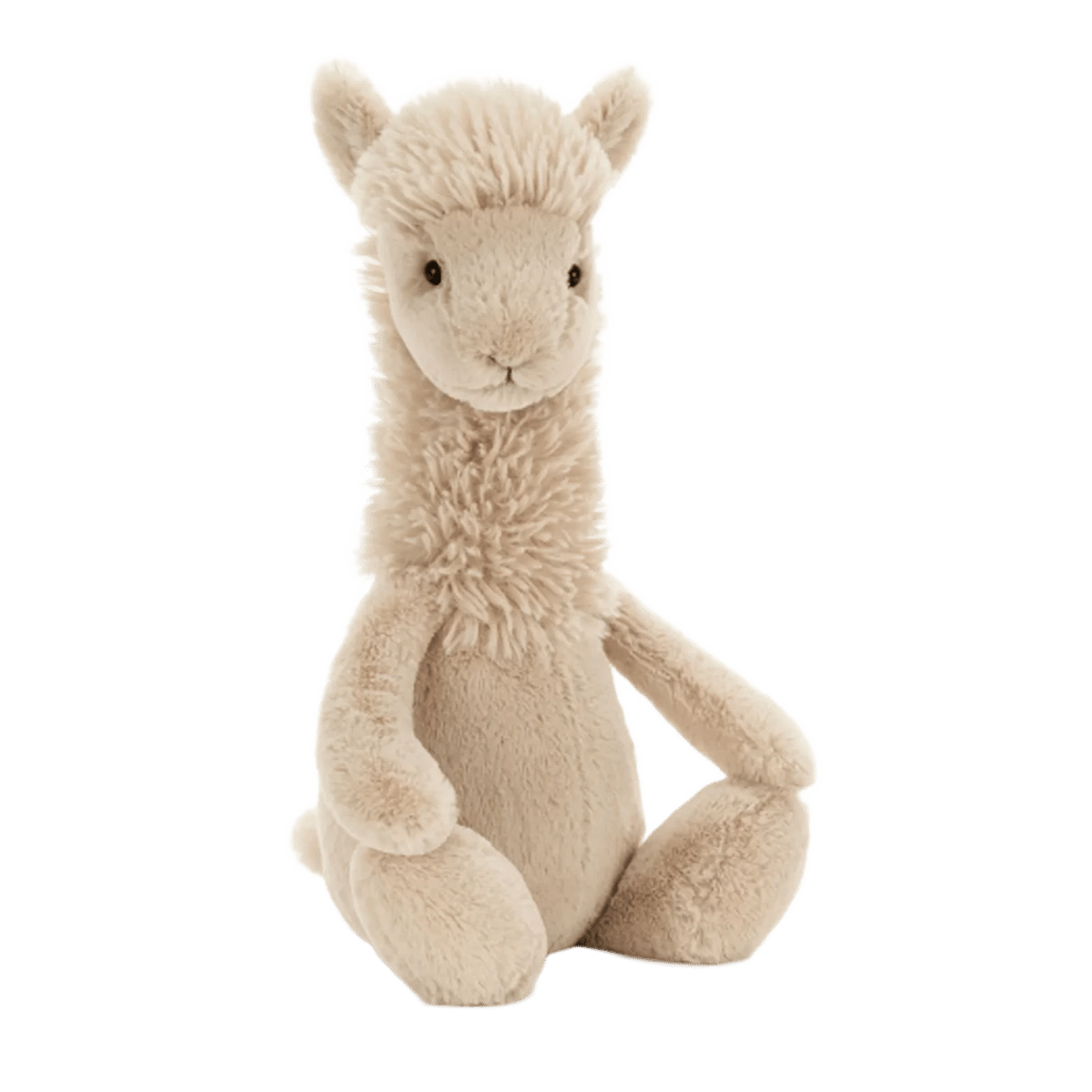Bashful Llama