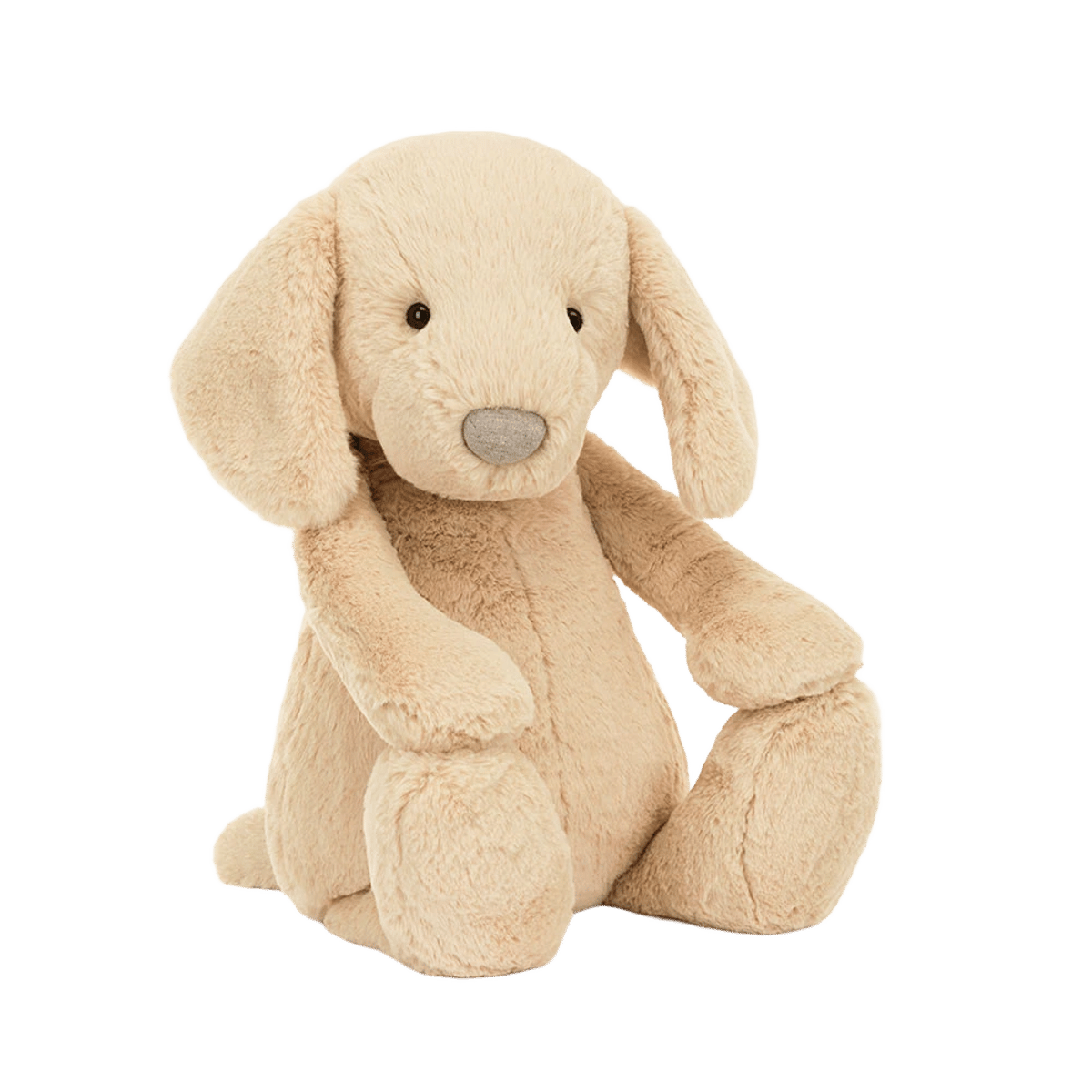 Bashful Luxe Puppy Orlando