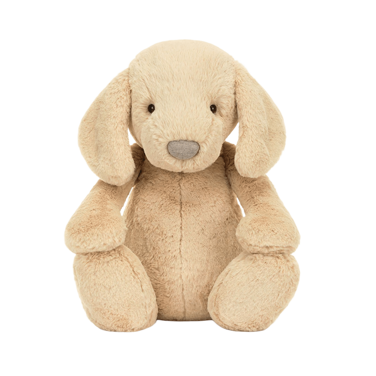 Bashful Luxe Puppy Orlando