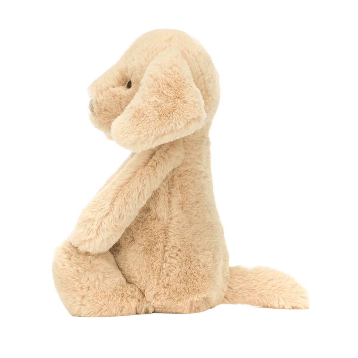 Bashful Luxe Puppy Orlando
