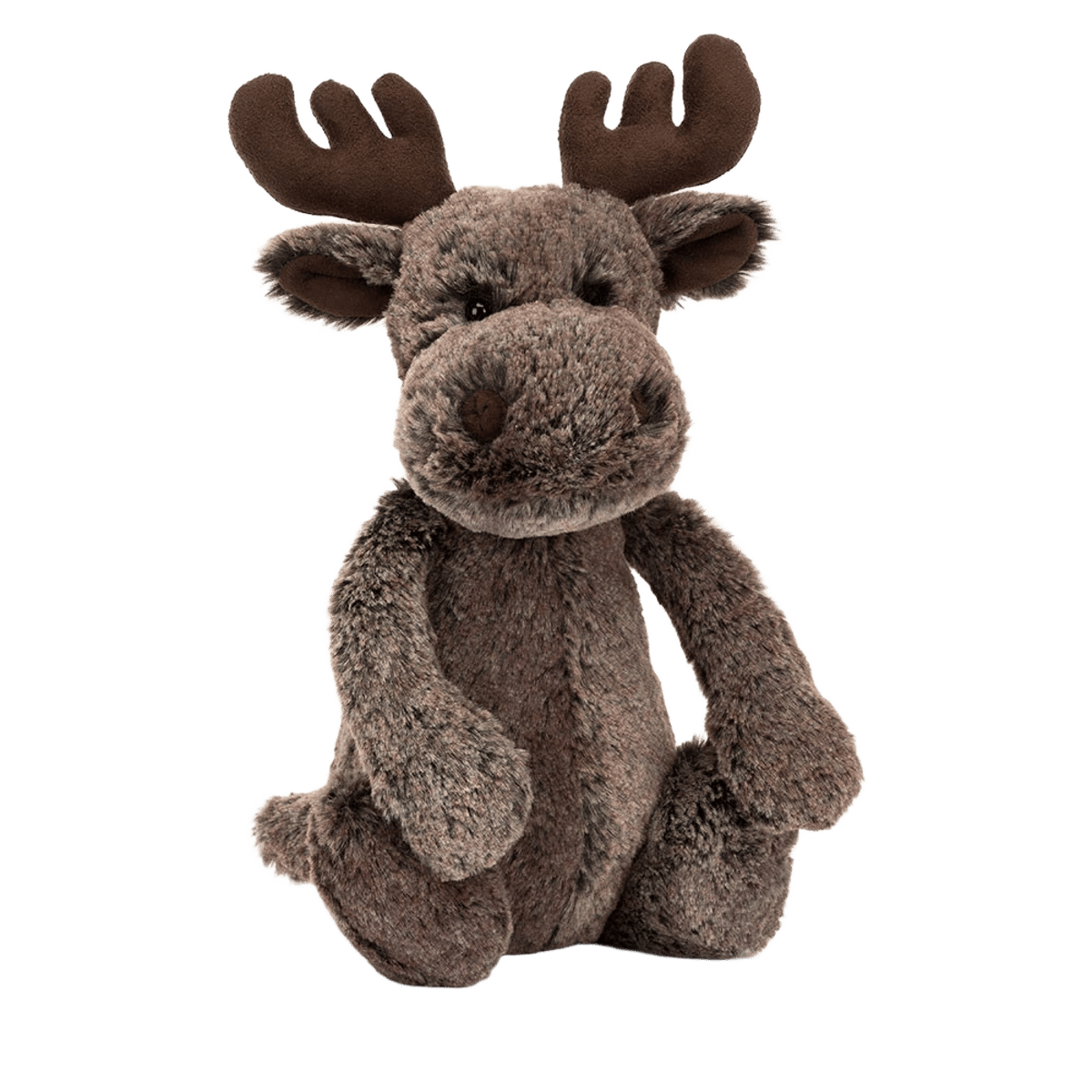 Bashful Marty Moose