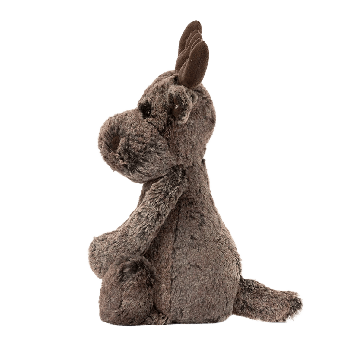 Bashful Marty Moose