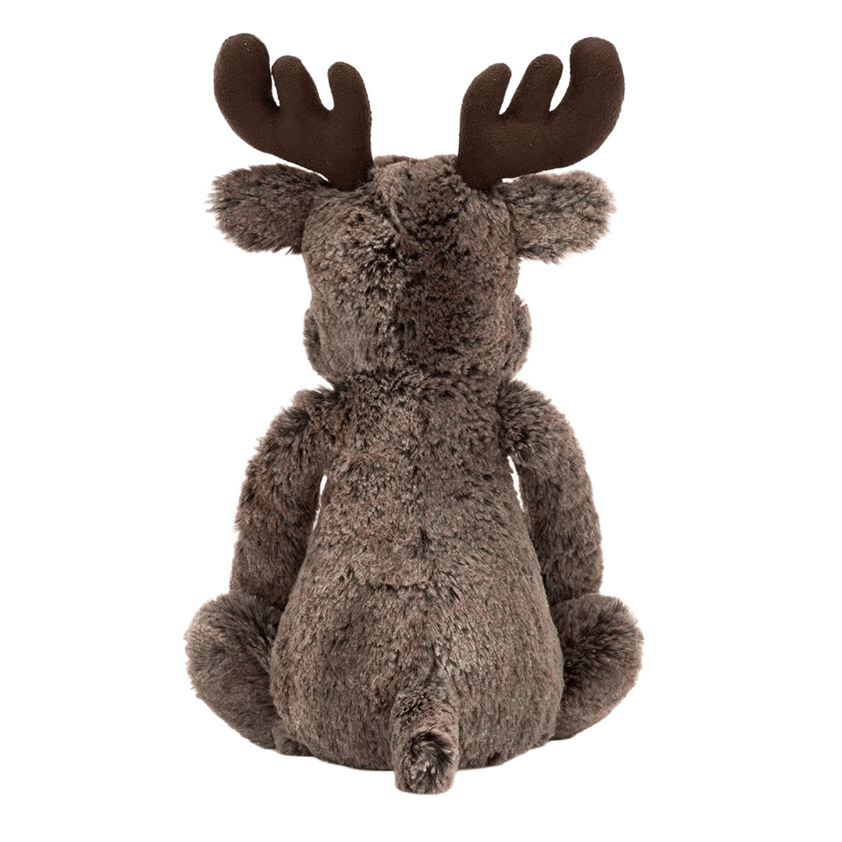 Bashful Marty Moose