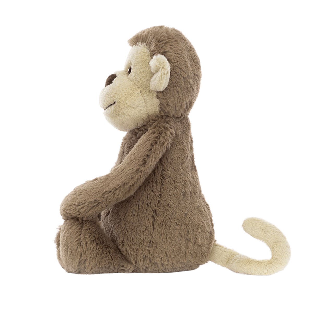 Bashful Monkey