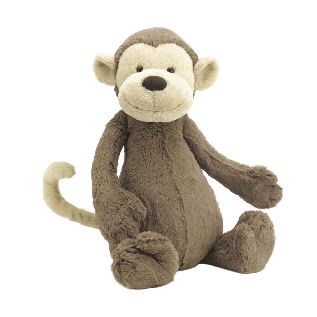 Bashful Monkey
