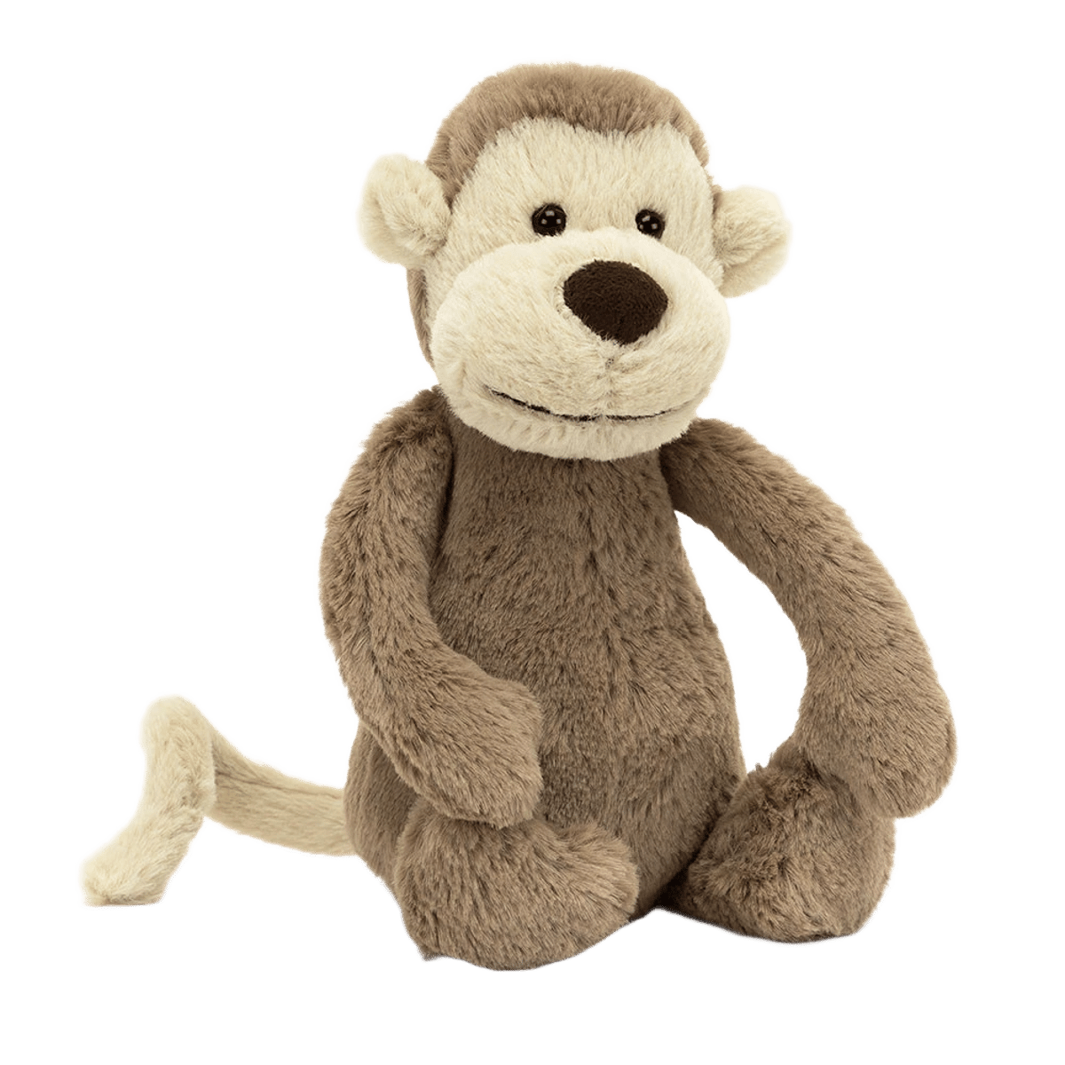 Bashful Monkey