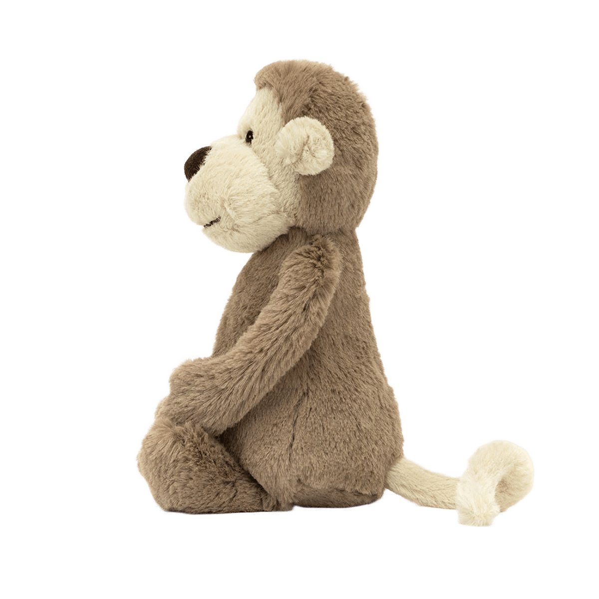 Bashful Monkey