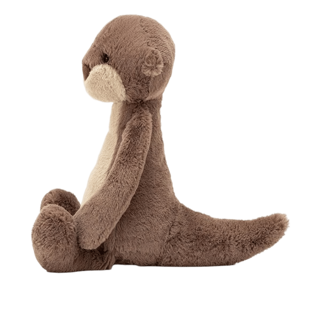 Bashful Otter