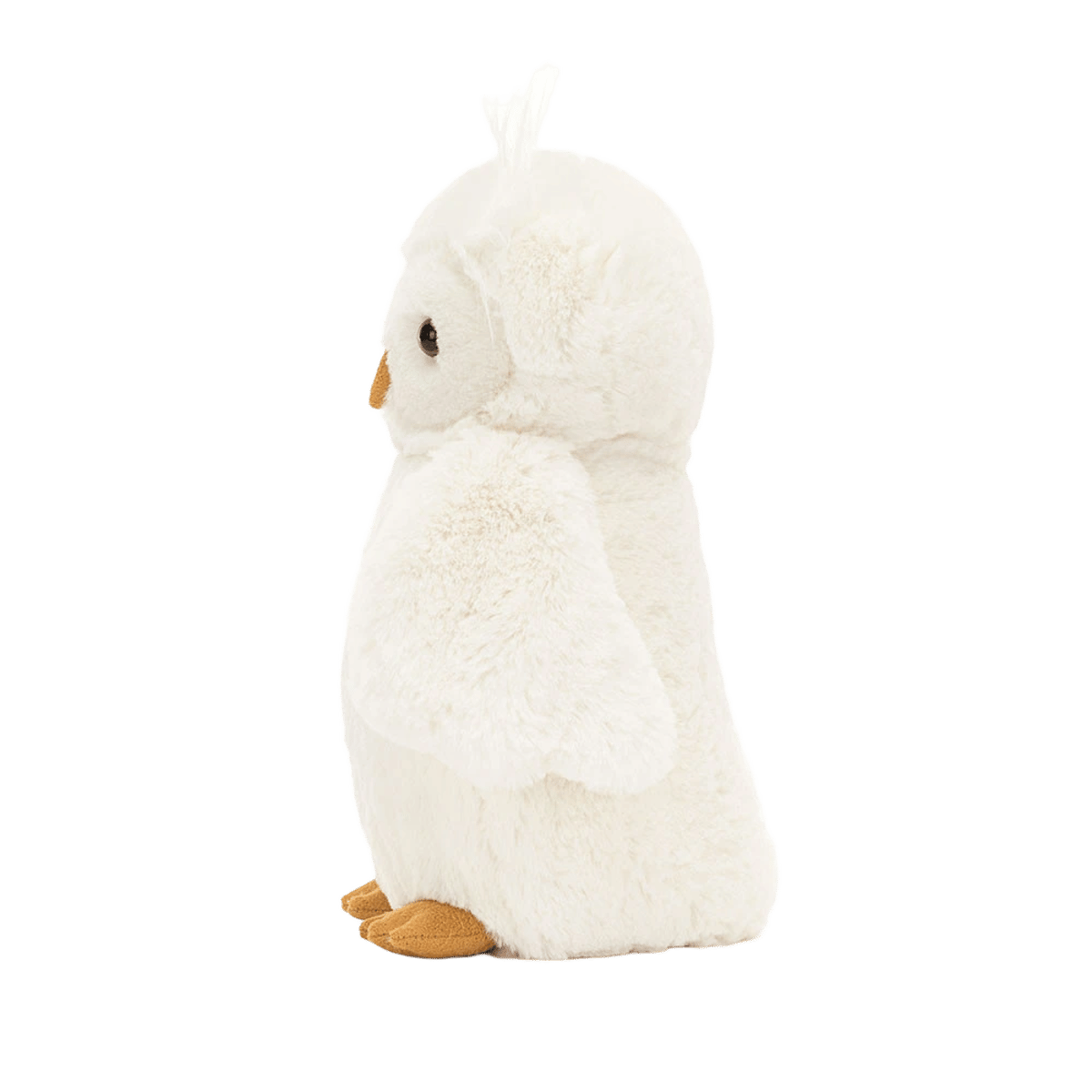 Bashful Owl