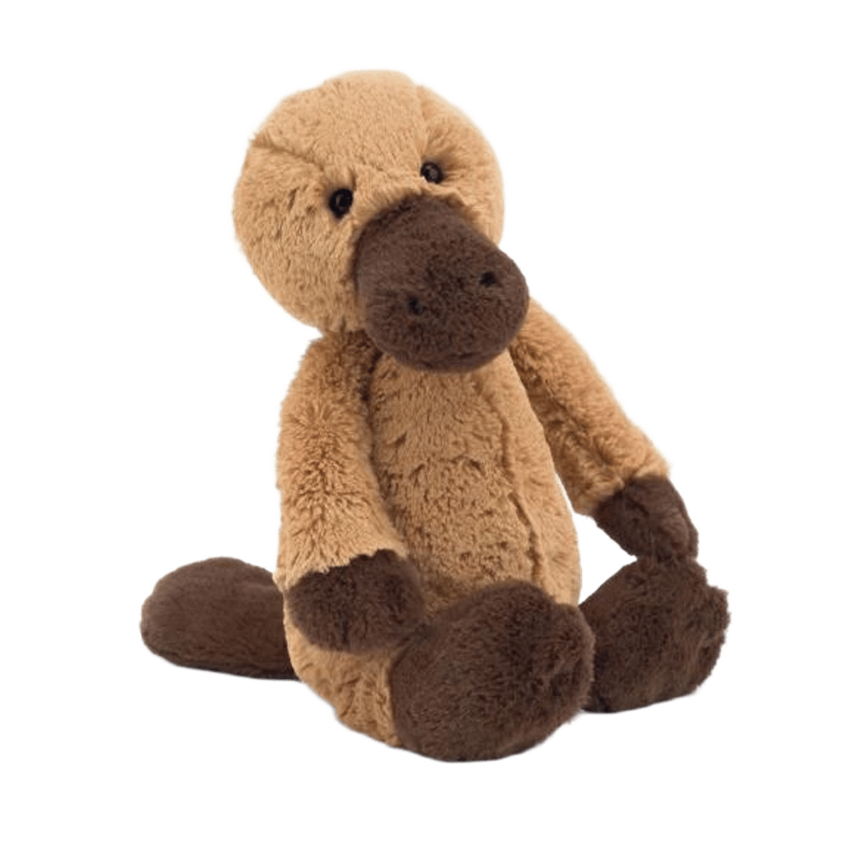 Bashful Platypus