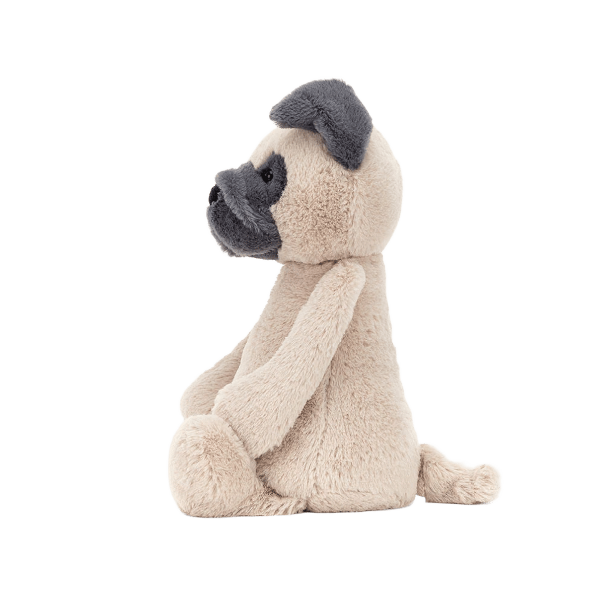 Bashful Pug