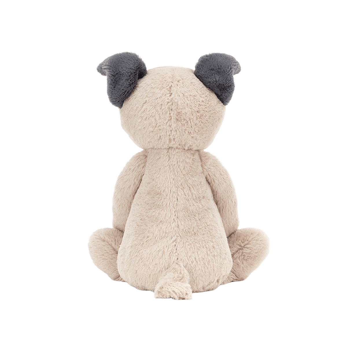 Bashful Pug