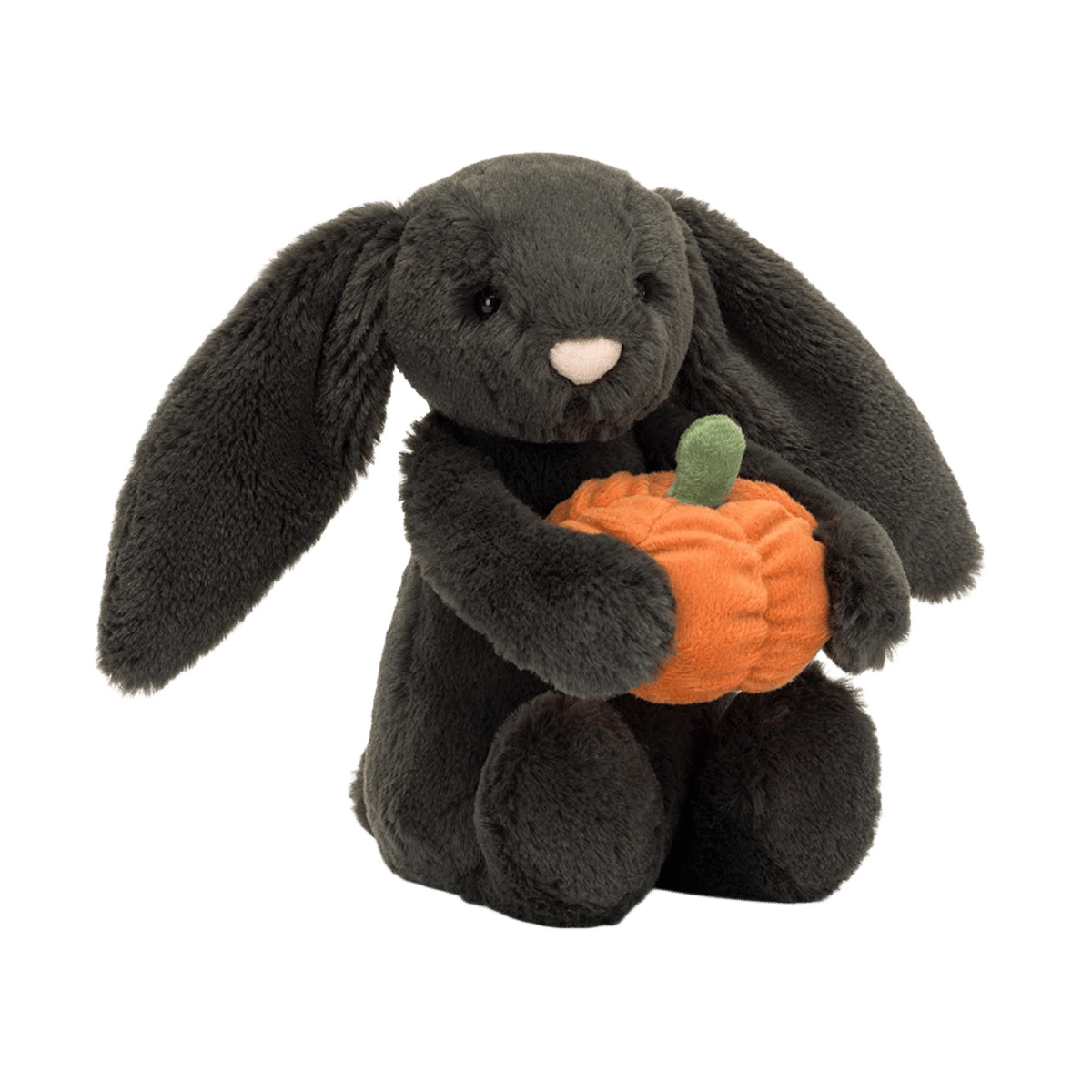 Bashful Pumpkin Bunny