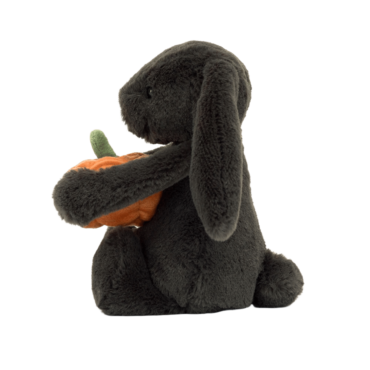 Bashful Pumpkin Bunny