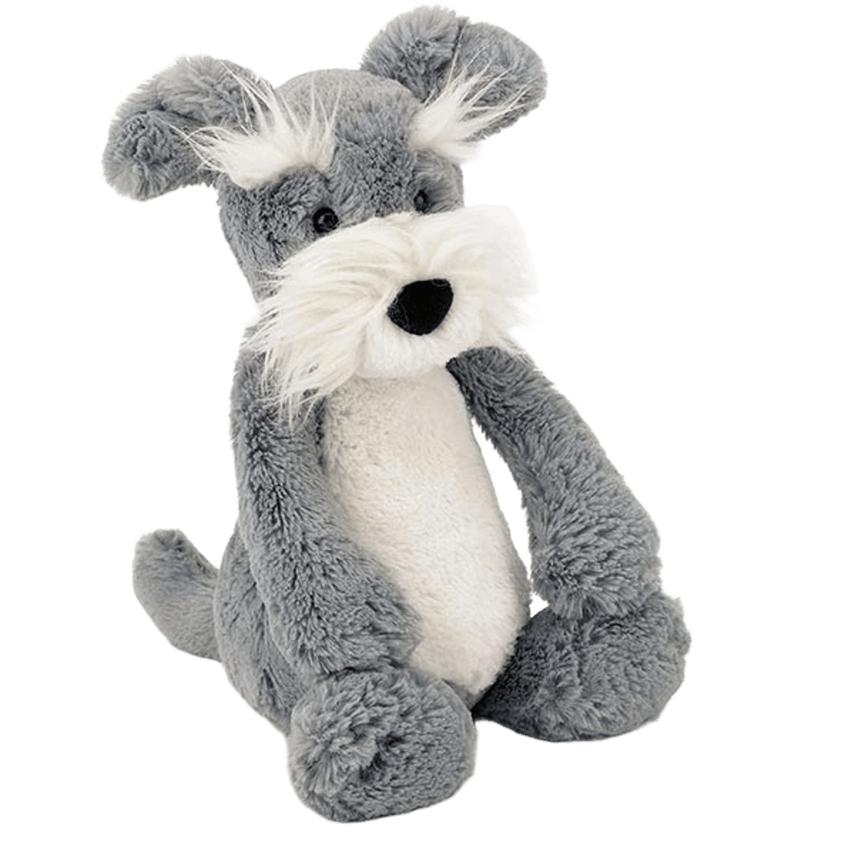 Bashful Schnauzer