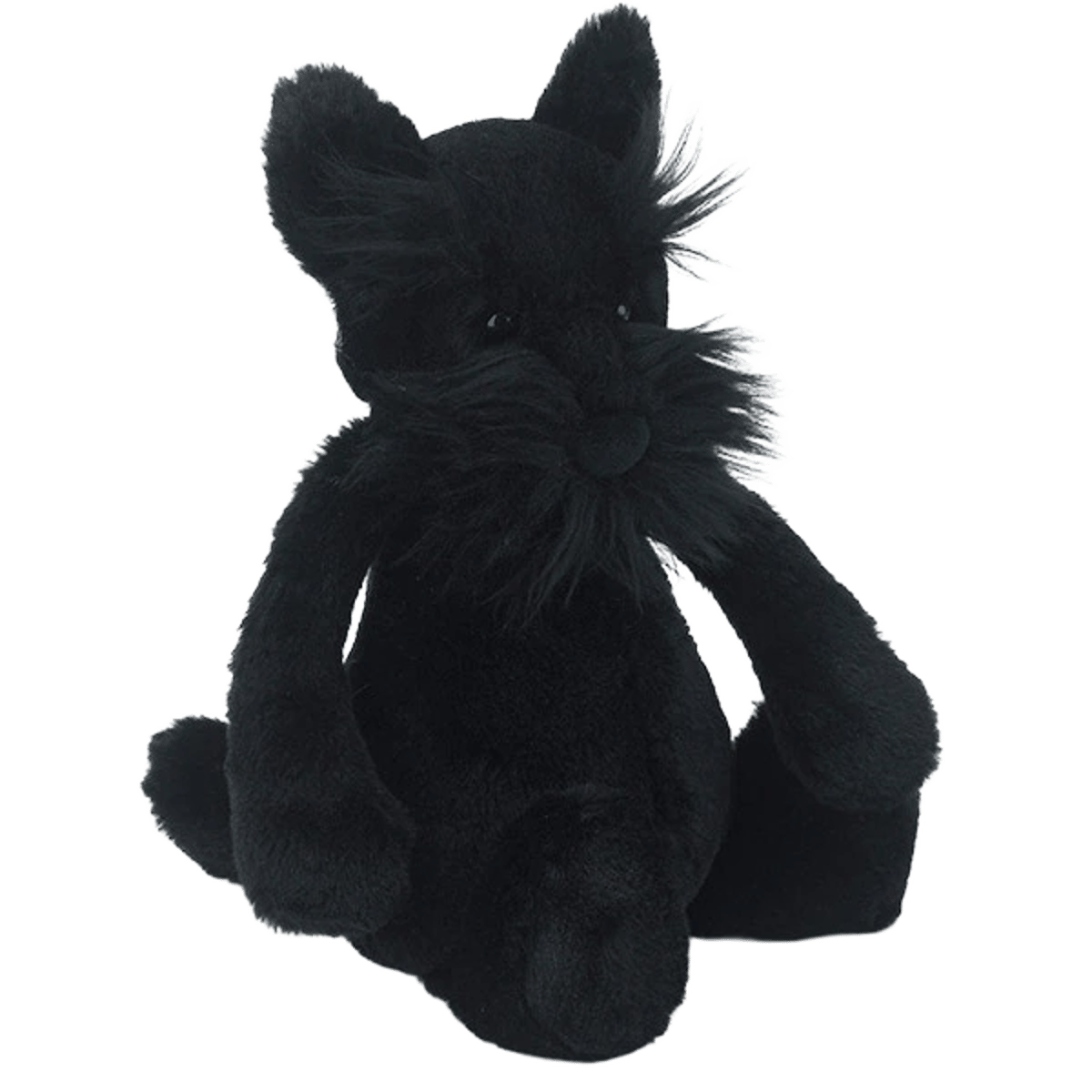 Bashful Scottie