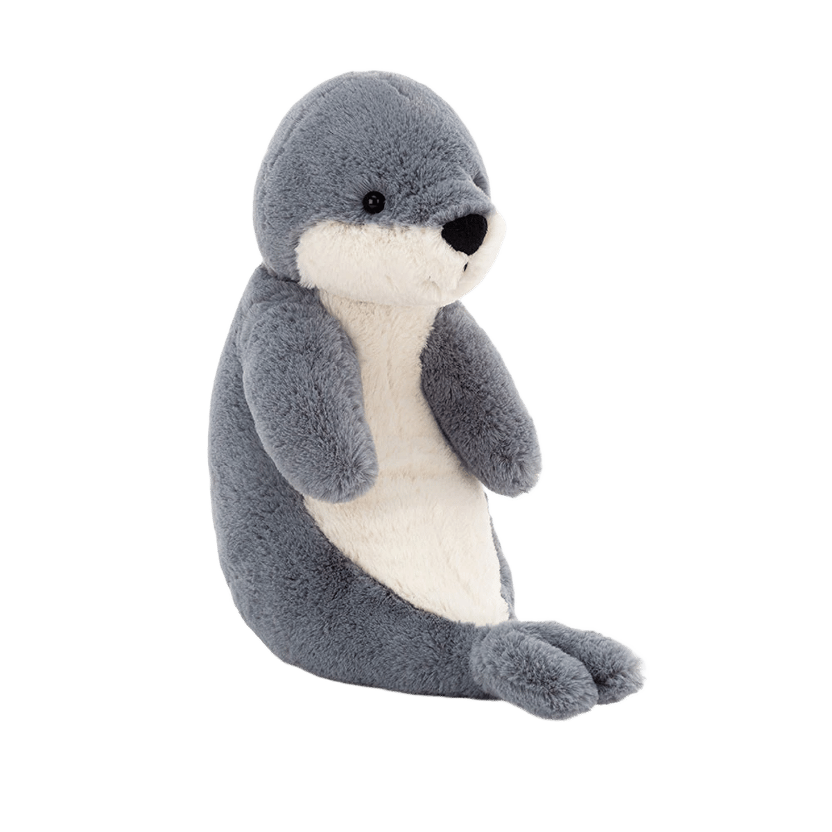 Bashful Seal
