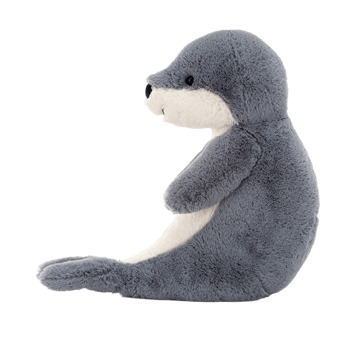 Bashful Seal