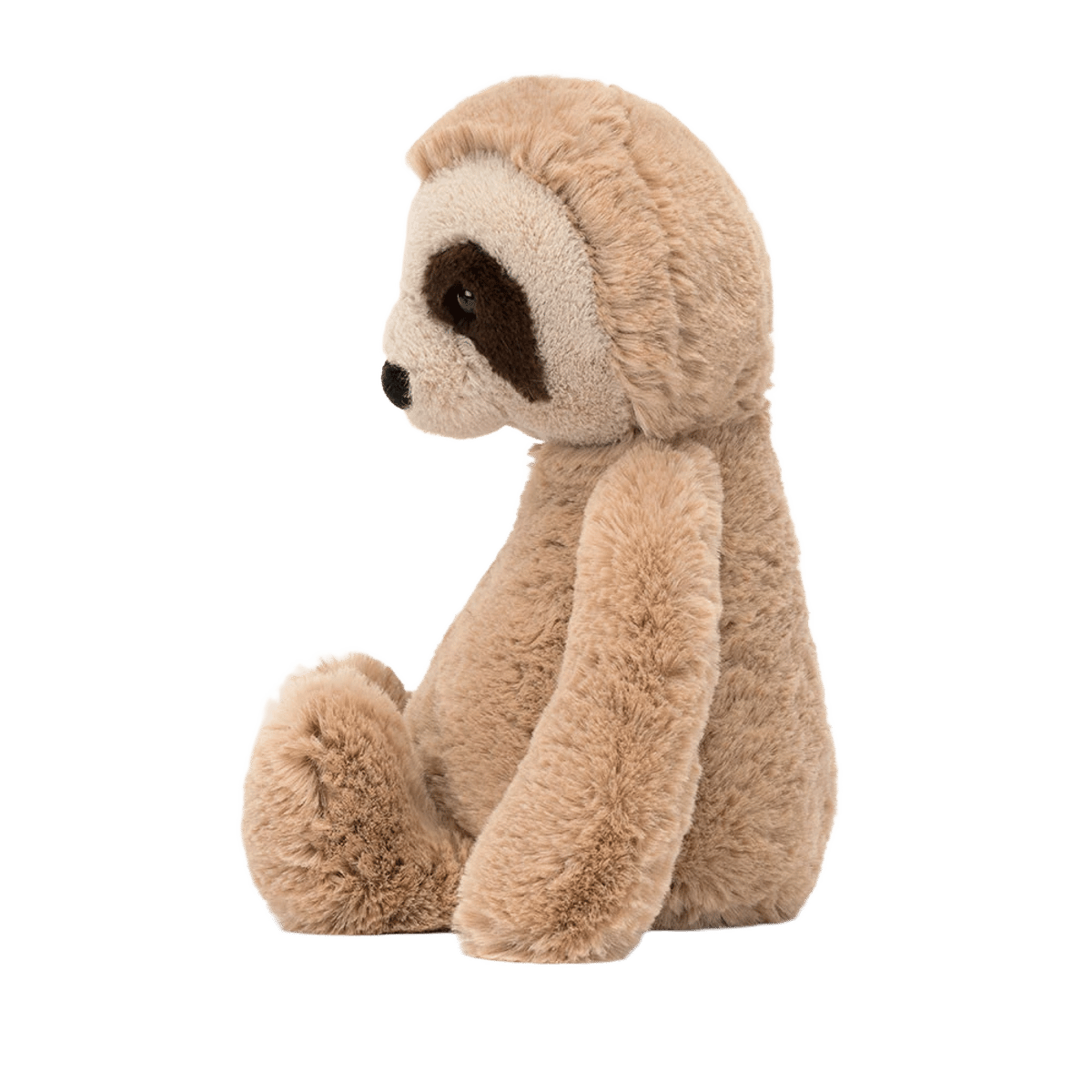 Bashful Sloth