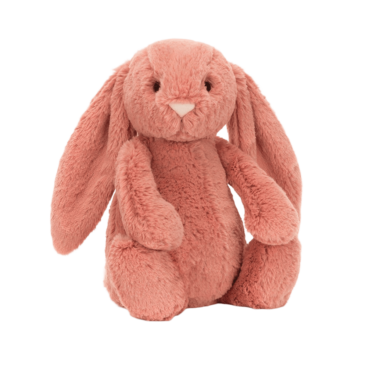 Bashful Sorrel Bunny