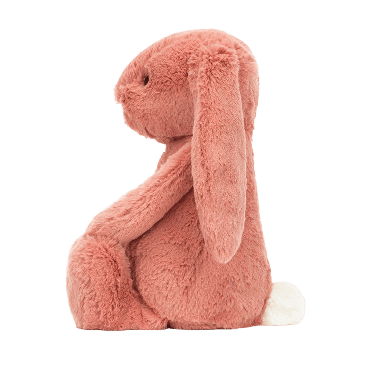 Bashful Sorrel Bunny