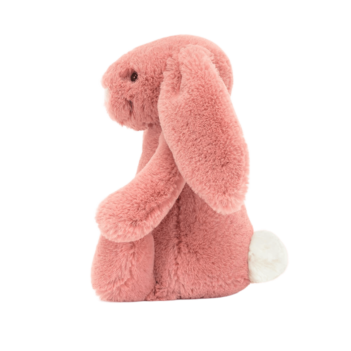 Bashful Sorrel Bunny