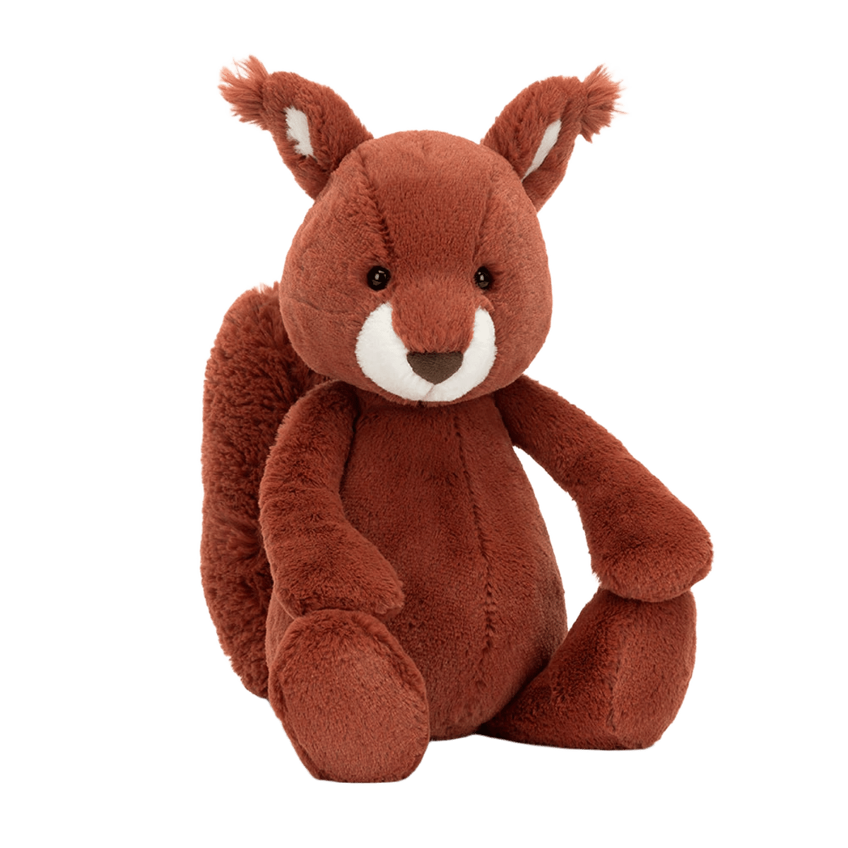 Bashful Squirrel