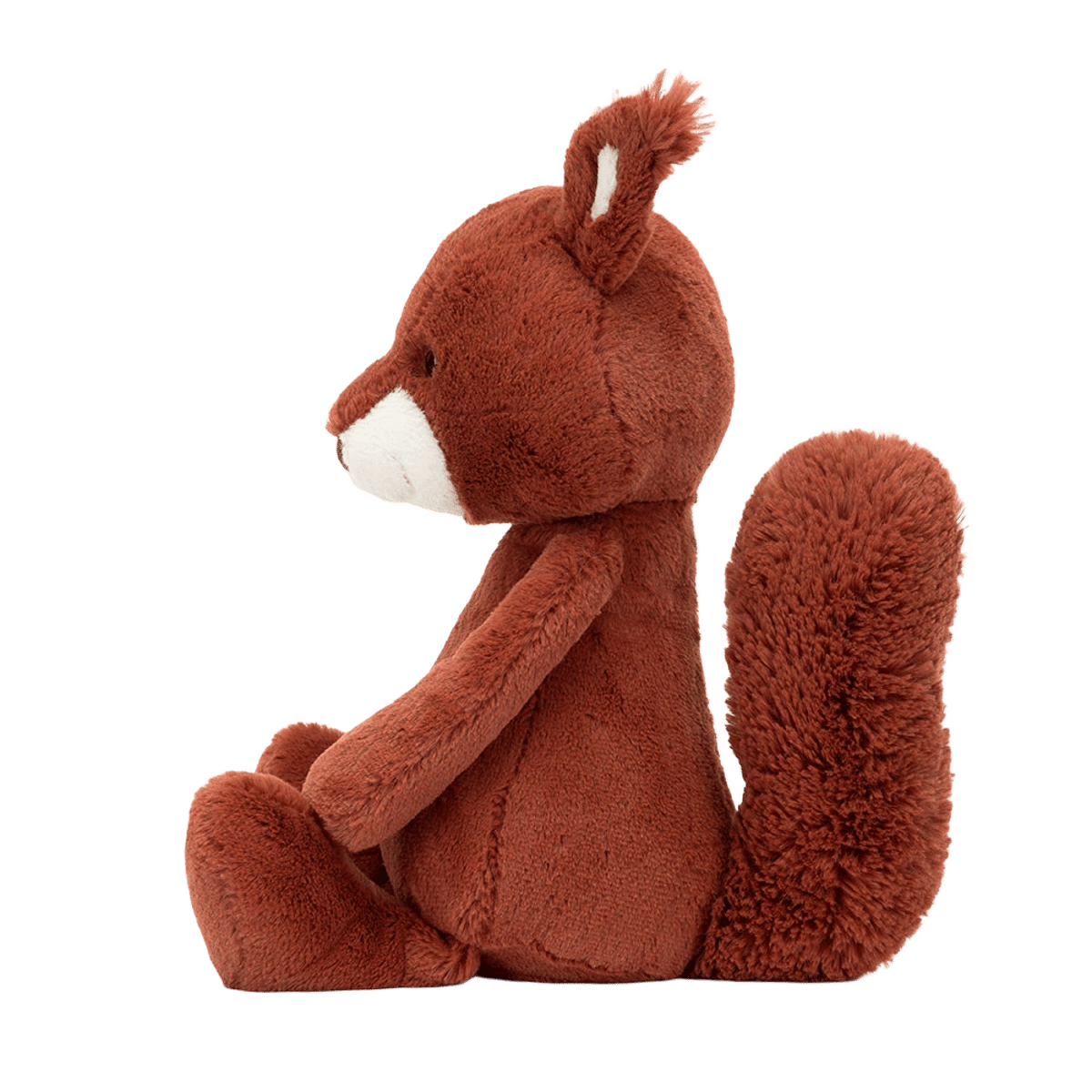 Bashful Squirrel