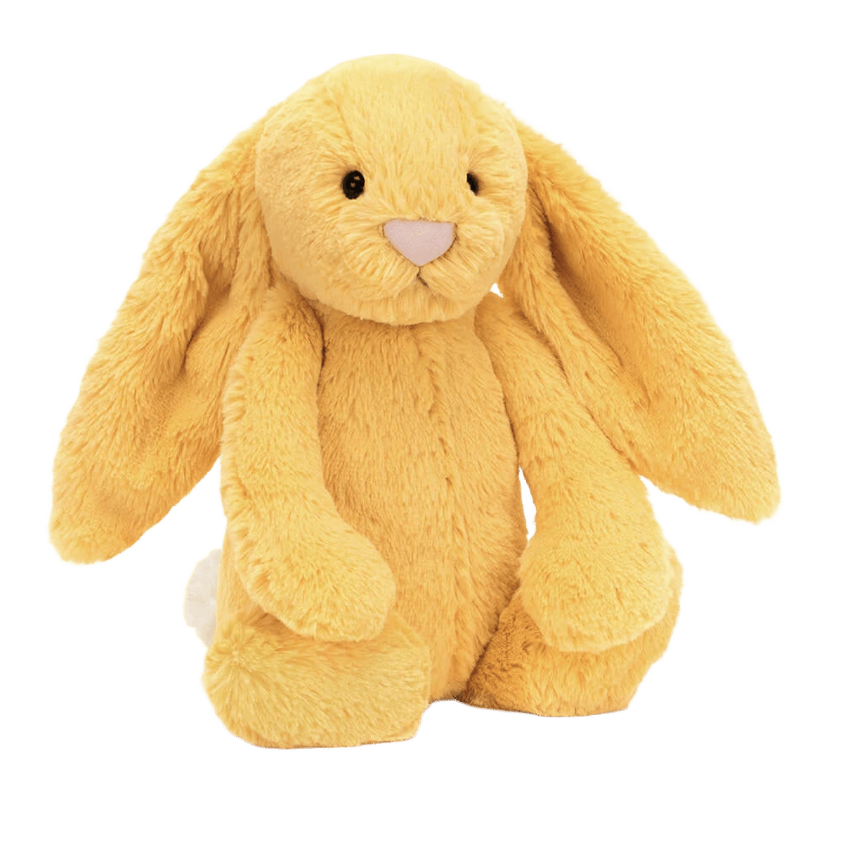 Bashful Sunshine Bunny