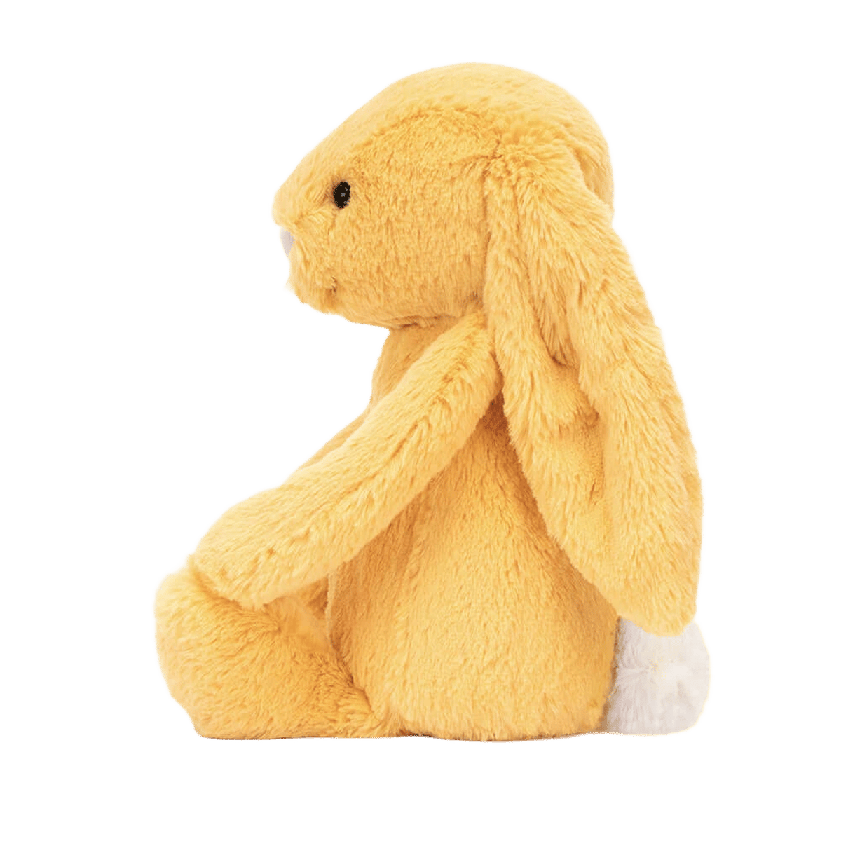 Bashful Sunshine Bunny