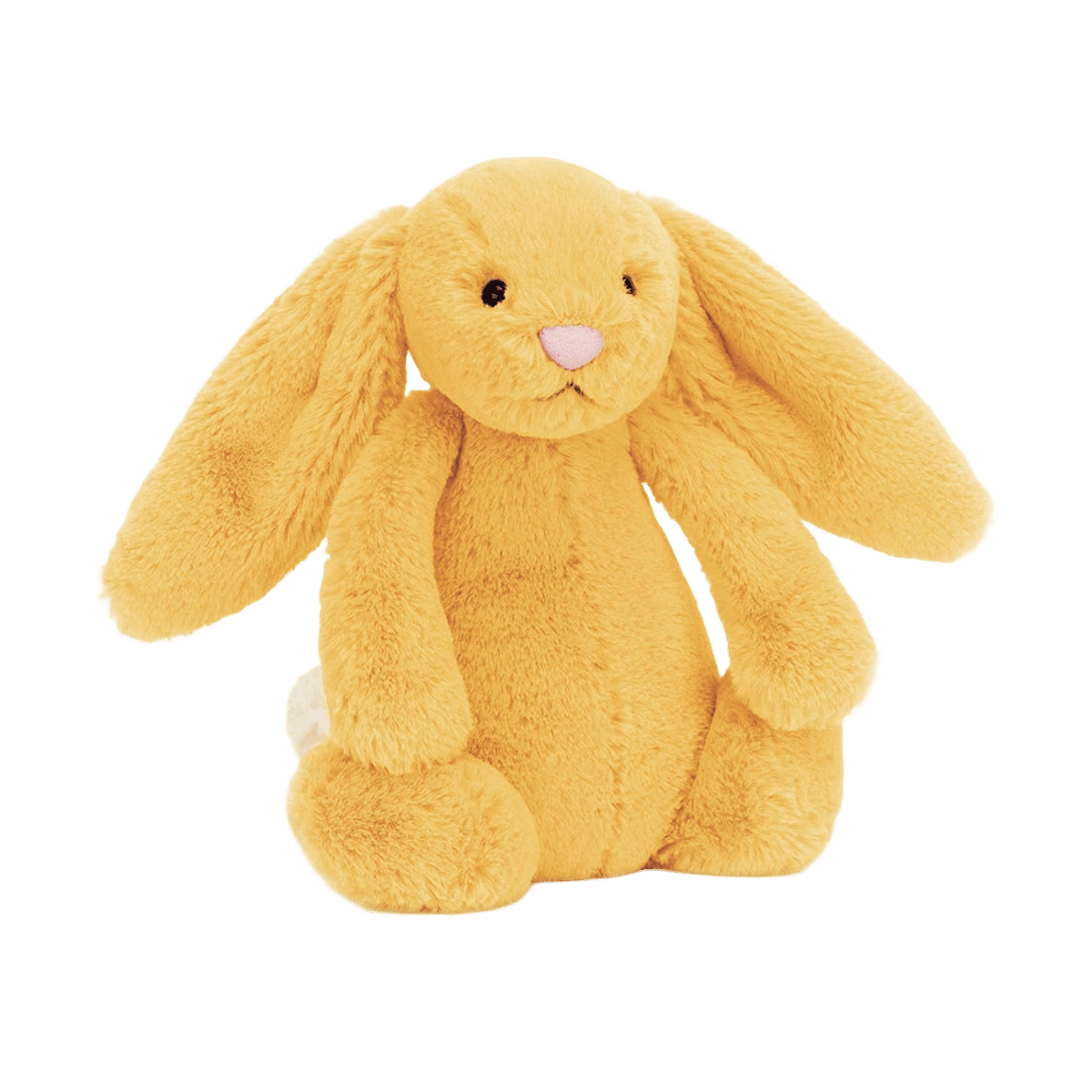Bashful Sunshine Bunny