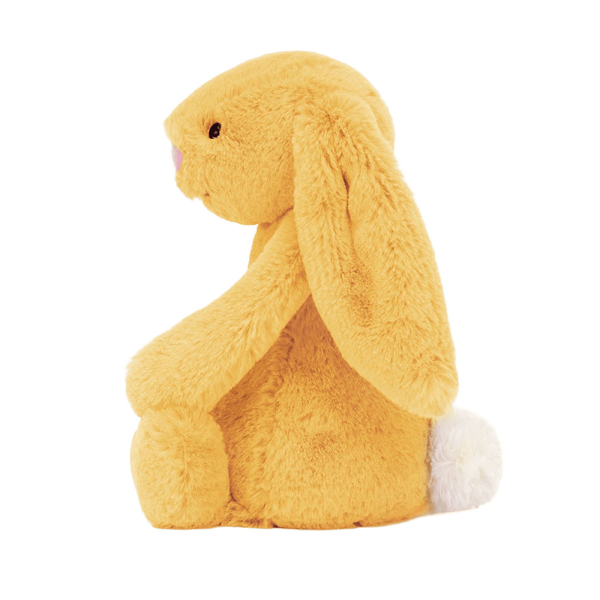 Bashful Sunshine Bunny