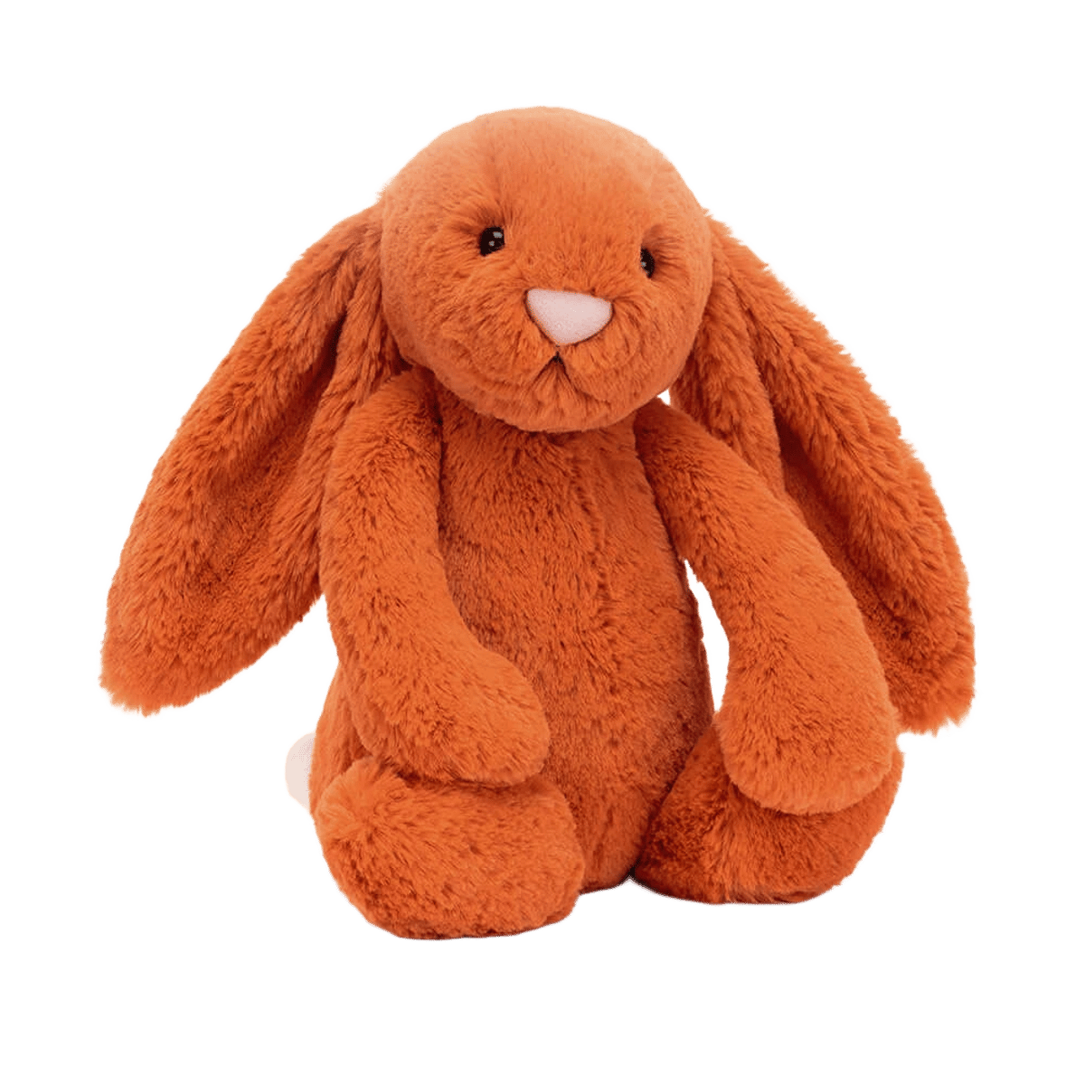 Bashful Tangerine Bunny