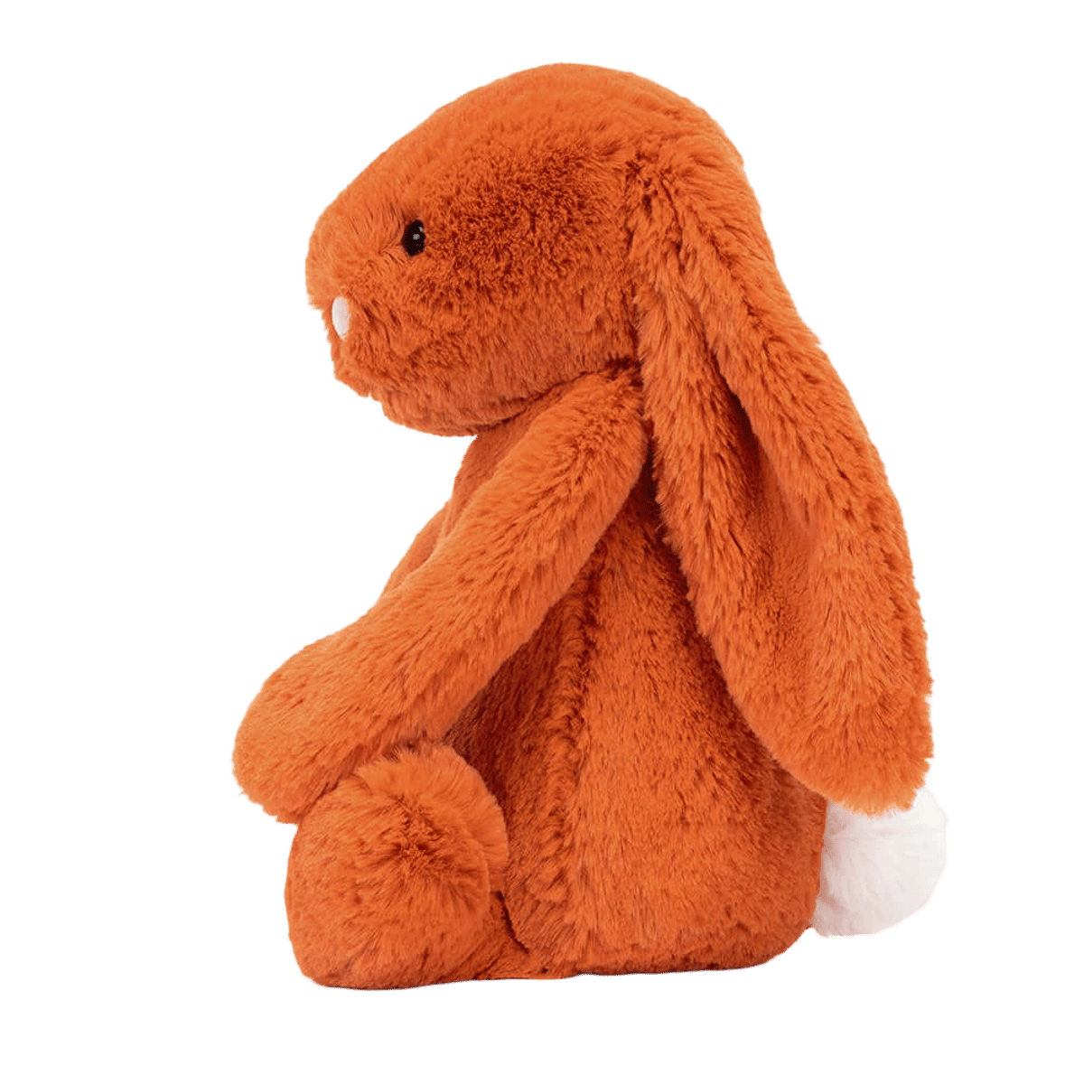 Bashful Tangerine Bunny