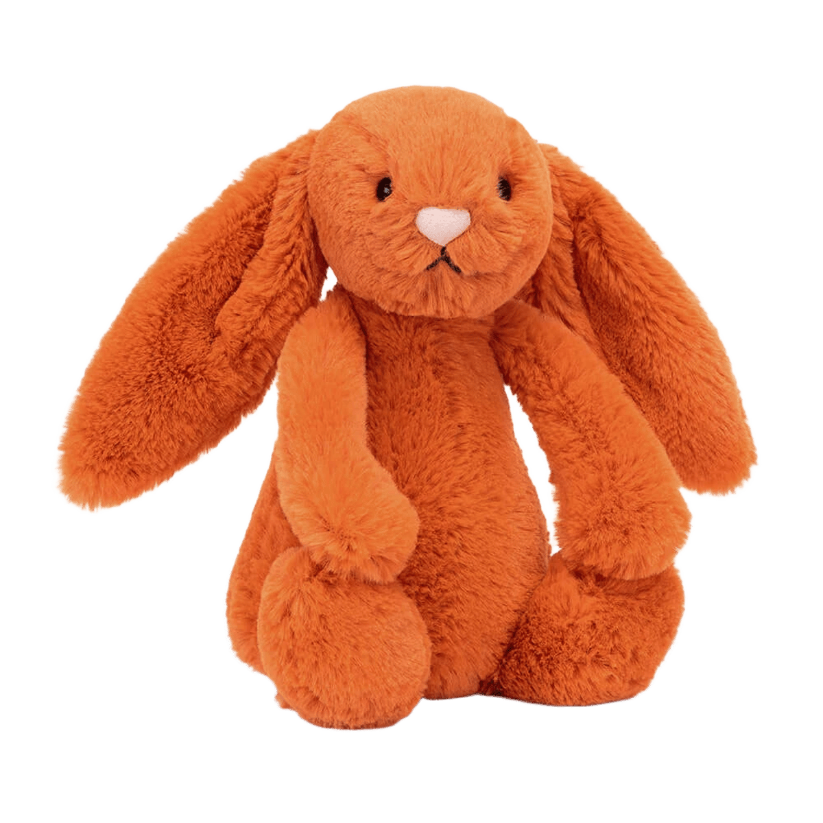Bashful Tangerine Bunny