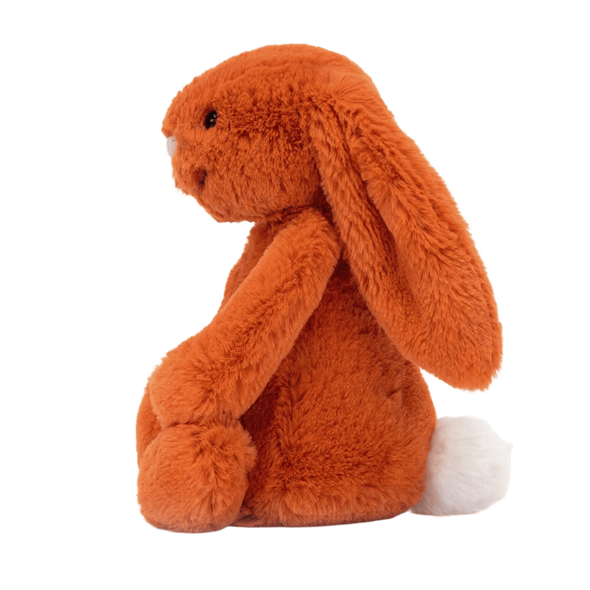 Bashful Tangerine Bunny