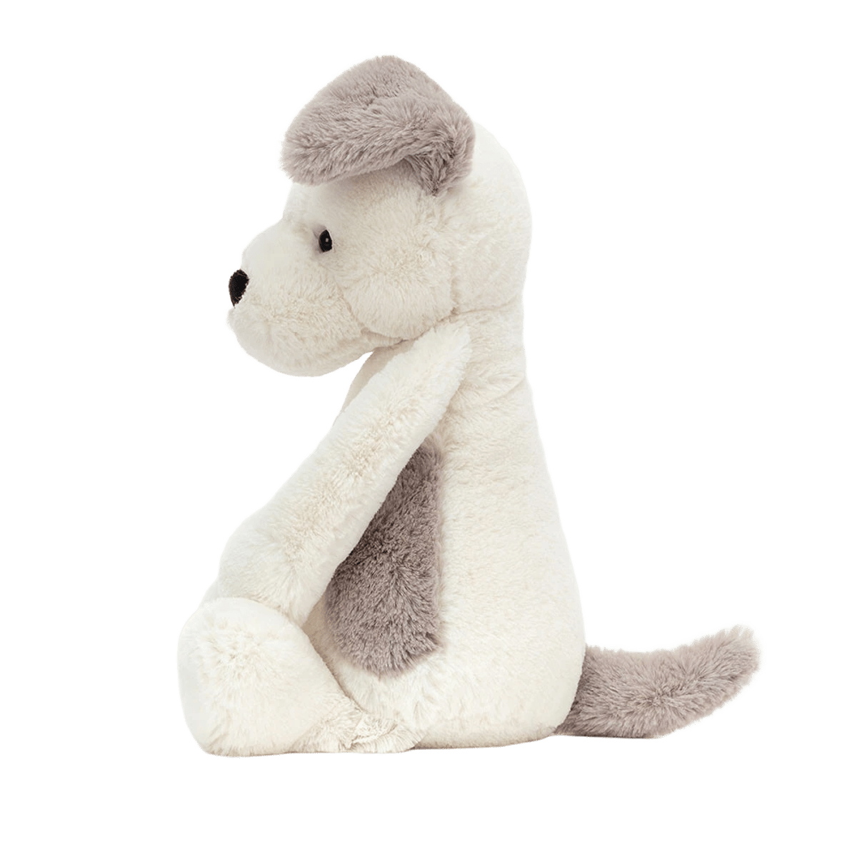 Bashful Terrier