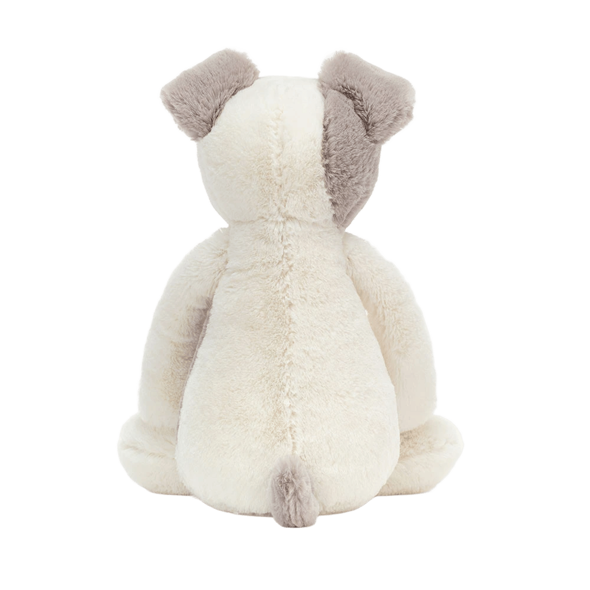 Bashful Terrier