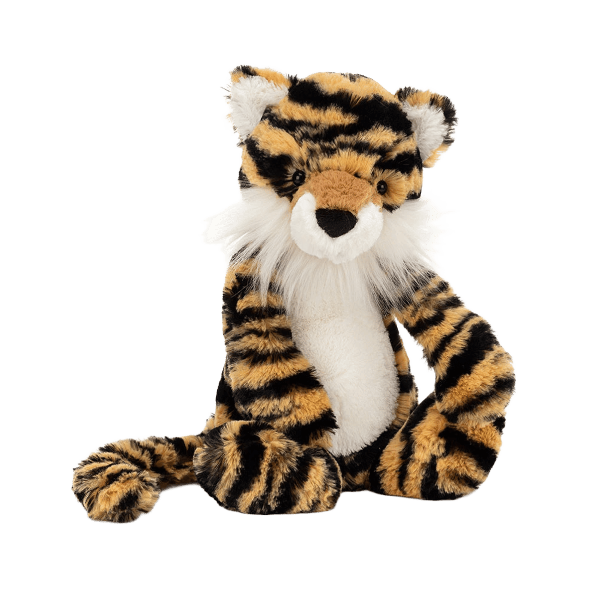 Bashful Tiger
