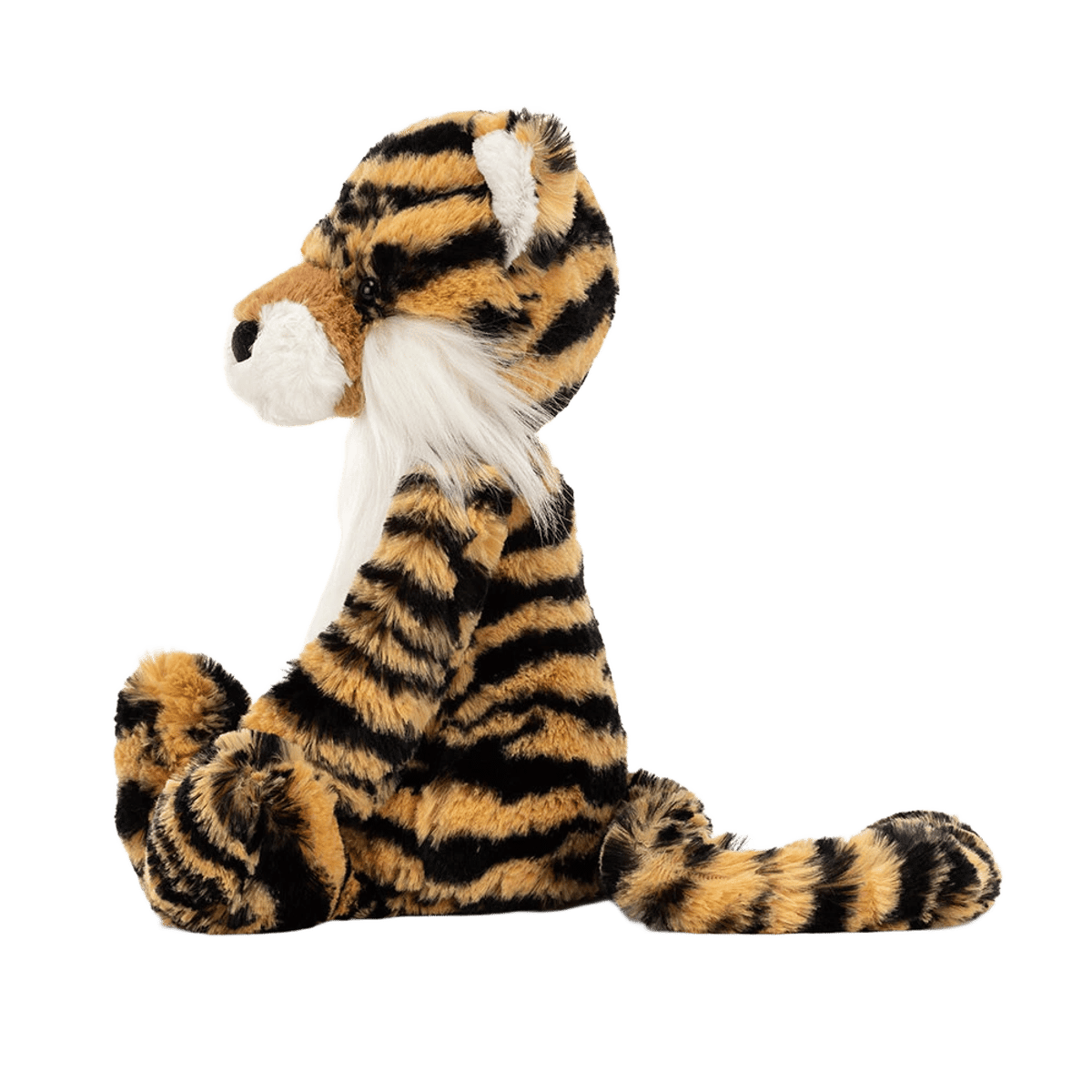 Bashful Tiger