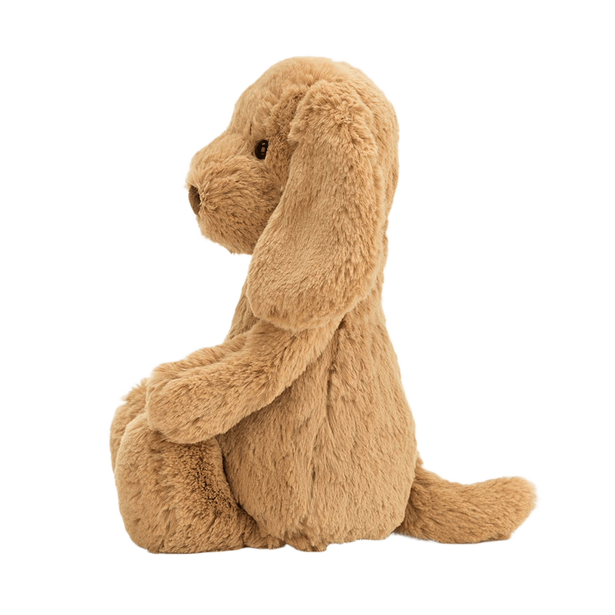 Bashful Toffee Puppy