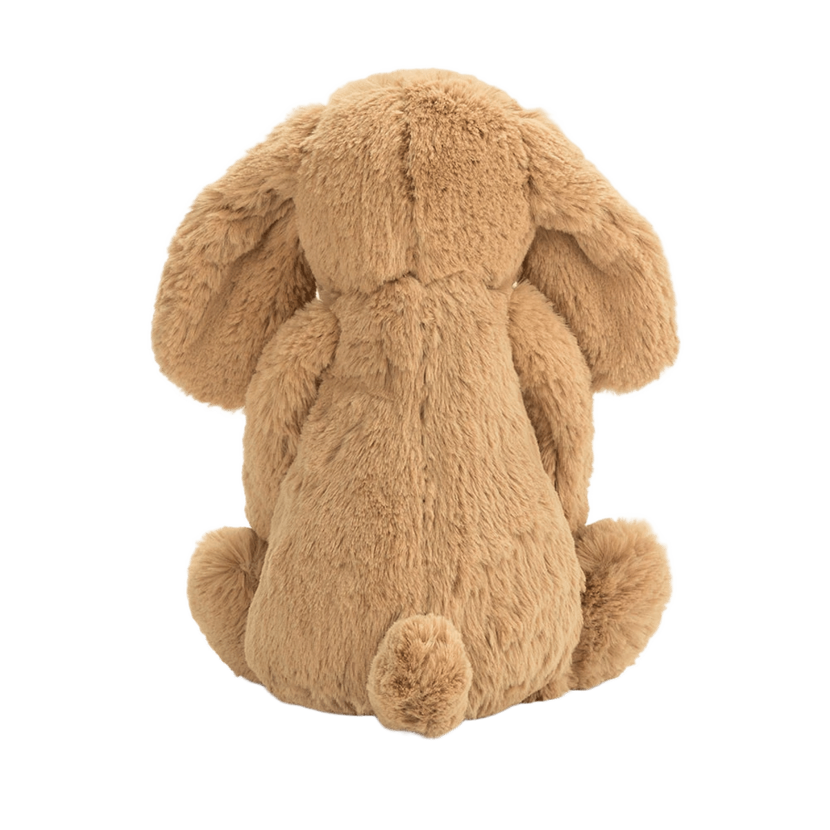Bashful Toffee Puppy