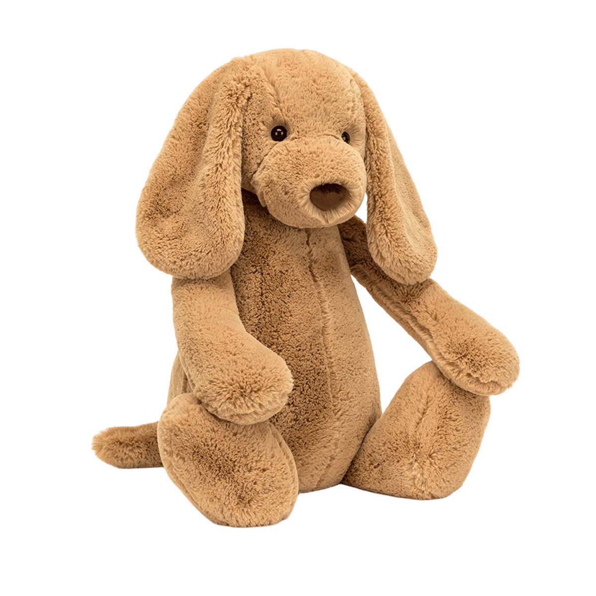 Bashful Toffee Puppy